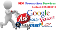 Gain More Business by Professional SEO Promotion Services