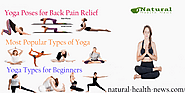 The Different Types of Yoga - The Most Common Yoga At Home