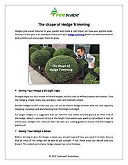 The shape of Hedge Trimming