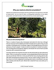 Why you need an arborist consultation?