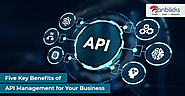 Five Key Benefits of API Management for your Business