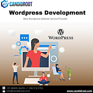 Best Wordpress Website Service Provider Company -CandidRoot Solutions