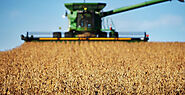 A Guide to Setting Combine For Soybeans