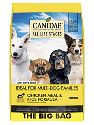 Buy Dog Products Online