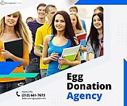 What is egg donation process in USA?