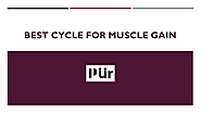 Best cycle for muscle gain | edocr
