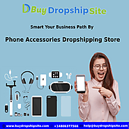 Smart Your Business Path By Phone Accessories Dropshipping Store – buydropshipsite