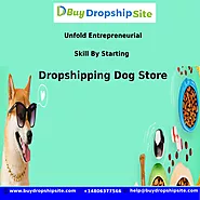 Unfold Entrepreneurial Skill By Starting Dropshipping Dog Store