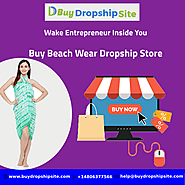 Wake Entrepreneur Inside You-Buy Beach Wear Dropship Store