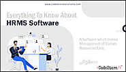 HRMS Software - Everything To Know About It | CodeStore Technologies