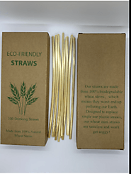 Buy Stainless Steel Straws, Metal Straws, Bamboo Straws - dsprosupplies
