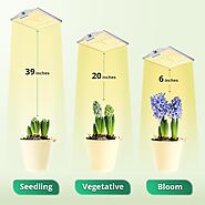 How Far Should LED Grow Lights Be from Plants? – ViparSpectra
