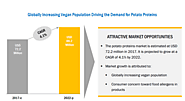 Potato Protein Market Size, Share, Global Industry Report Forecast to 2022 | MarketsandMarkets