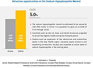 Sodium Hypophosphite Market by Function (Reducing Agents, Catalysts & Stabilizers, Chemical Intermediates), Applicati...