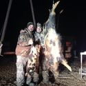 Cons and prons of Hog Hunting in Texas.