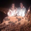 Reasons of Hog Hunts Popularity in Texas