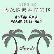 Branded Podcasts - Podcast Show - Podknows Podcasting