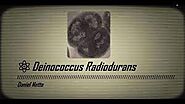 Website at https://www.youtube.com/watch?v=pvohlBiQo-4&t=18s