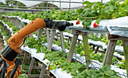 Agricultural robot market