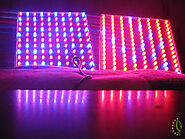 Growen mit LED Panels