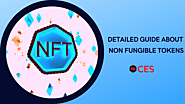 Grab this prolific detailed guide about NFT now!