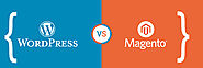 WordPress Vs Magento: Which One is Best for eCommerce Development?