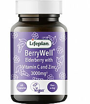 Buy High Quality Berrywell Elderberry Capsule