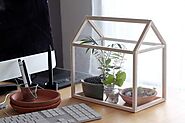10 Indoor Greenhouse Ideas for Your Personal Indoor Farm