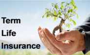 Buy Term Life Insurance Online Today!