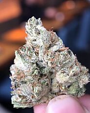 Website at https://theexoticweed.com/shop-2/sativa-strains/blue-dream-strain/