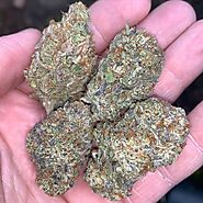 Death Star Strain - Weed For Sale Online The Exotic Weed Dispensary