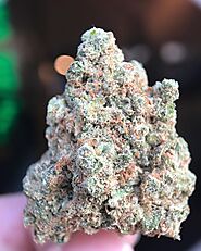 Master Kush Strain - Weed For Sale Online | Cheap Weed For Sale online