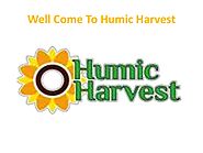 Best Humic Acid Fertilizer - Humic Harvest