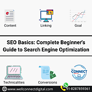 Website at https://wellconnectdigital.com/seo-basics-complete-beginners-guide/