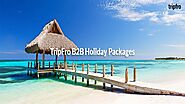 B2B Holiday Packages