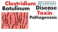 Clostridium Botulinum Microbiology | pathogenesis toxins and disease
