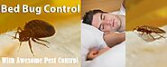 Choose Awesome Pest Control to Control Bed Bugs | Awesome Pest
