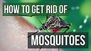 Website at https://www.awesomepest.ca/mosquitos-control-barrie-mosquitos-removal-barrie/
