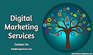 Affordable SEO Services Company in Bhopal | Insigniawm Digital Marketing Services India