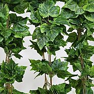 Why Buying Fake IVY Plants Is A Smart Investment Than Real Plants?