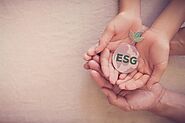 The post-pandemic recovery puts ESG in the spotlight - Unravel