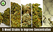 5 Weed Strains to Improve Concentration | Pot Valet