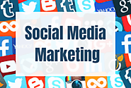 What will be the future of social media marketing services in business promotion?