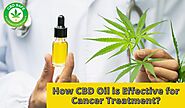 How CBD Oil is Effective for Cancer Treatment? | Camilla Morgan