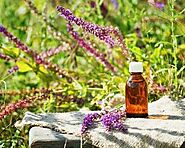 What are the Best Essential oils for Acne ? - Blog AOS Products