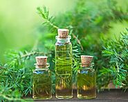 Tea tree Oil how to Use : Health Benefits & Properties - AOS blog