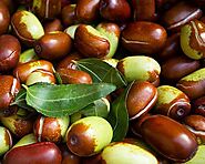 About Jojoba Oil - Beauty and Health Benefits