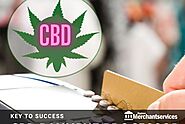 Why your online store needs CBD Payment Processor?