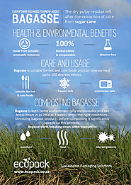 Everything You Need to Know About Bagasse | EcoPack