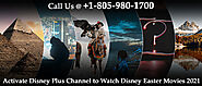 Website at https://www.roku-customer-service-phone-number.com/disneyplus-com-begin/